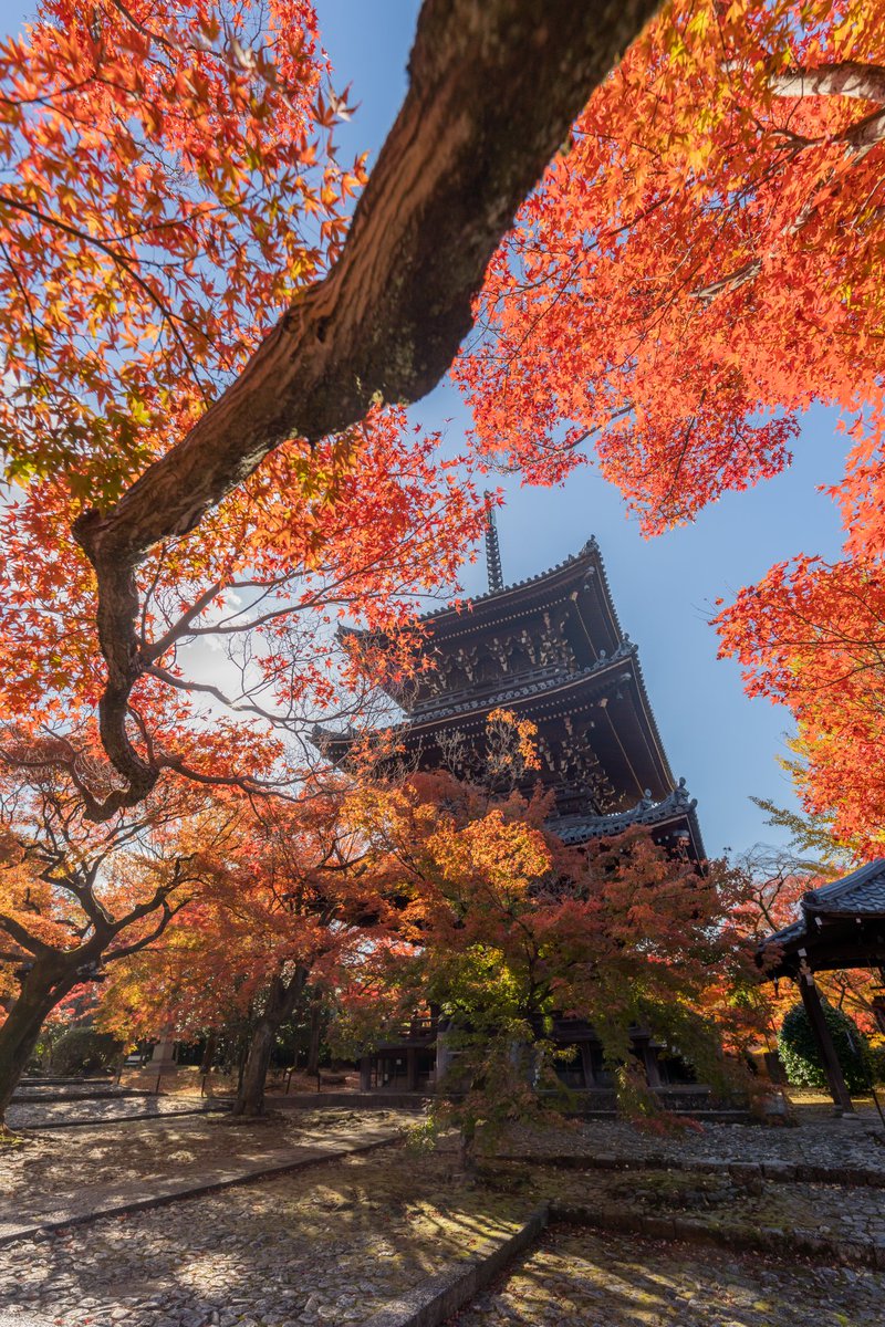 真如堂

#京都　#紅葉