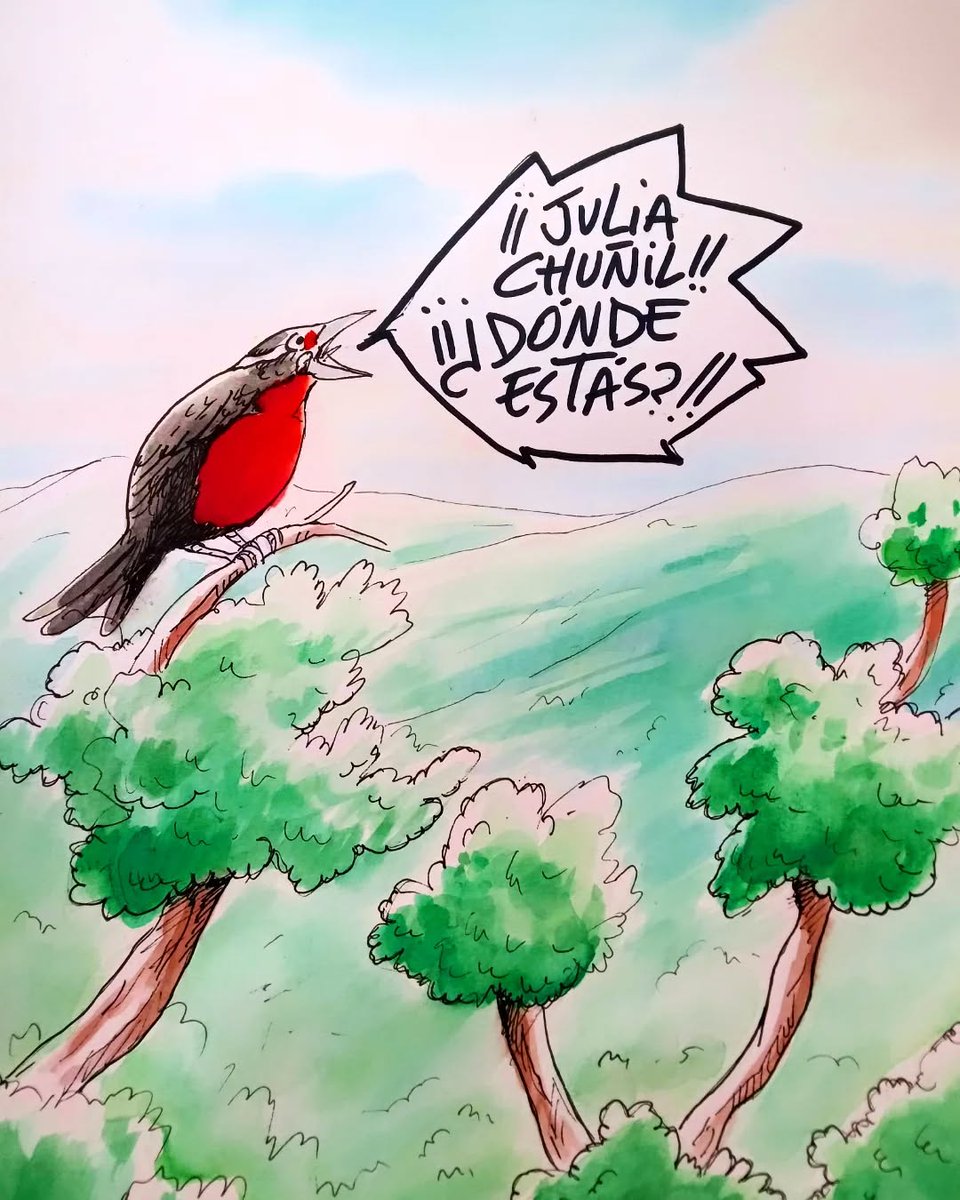 MarceTyS's tweet image. #JuliaChuñil mujer mapuche Presidenta de la Comunidad  de Putreguel de Máfil, región de Los Ríos. Antes de desaparecer comentó que estaba  amenazada por no querer vender su tierra.
