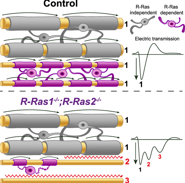 Cubelos Lab tweet media
