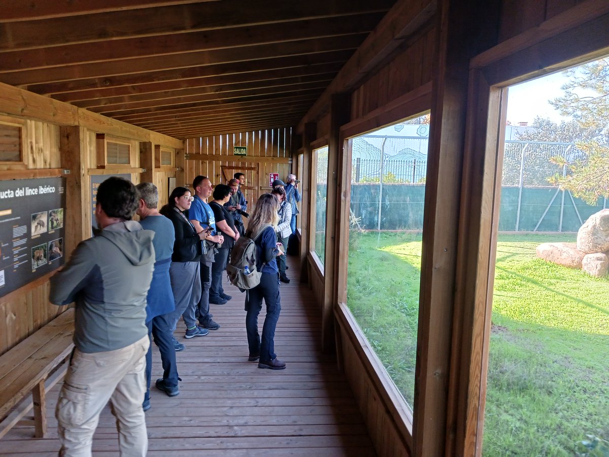 Ecomuseo del Lince Ibérico en Andújar, donde realizamos una visita guiada en colaboración con el P. Nat. Sierra de Andújar. Magnífica instalación para educación ambiental.
#naturewatchjaénterritoriolince
#encuentronaturewatch
#Lince #jaénterritoriolince #jaénparaísointerior