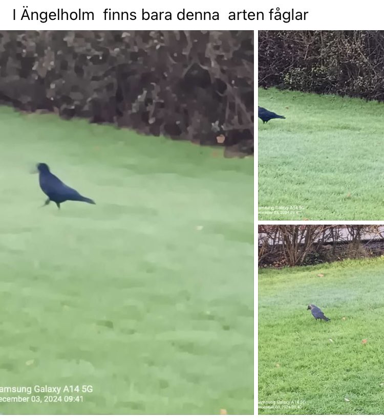 Axel Cool 007 (Welcome to my Page) tweet media