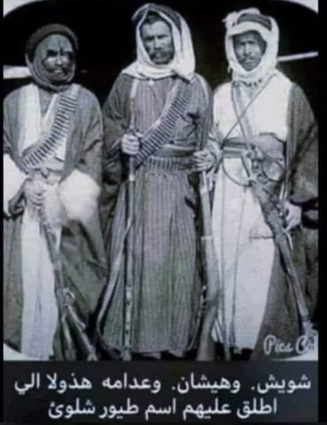 طيور شلوى ...؟؟
قصة حقيقة دارت أحداثها بالعراق عام( ١٨٧١ م )طيور شلوى وهم ثلاثة اطفال كبيرهم عمره ثلاث سنوات والاصغر تحت السنتين توفي والدهم ( عجرش ) وبعده بستة اشهر توفيت والدتهم فلم يبقى لهم الا جدتهم من ابيهم وتدعى شـلوى ونظرا لضيق ذات اليد اصبحت هذه العجوز تدور وسط البيوت