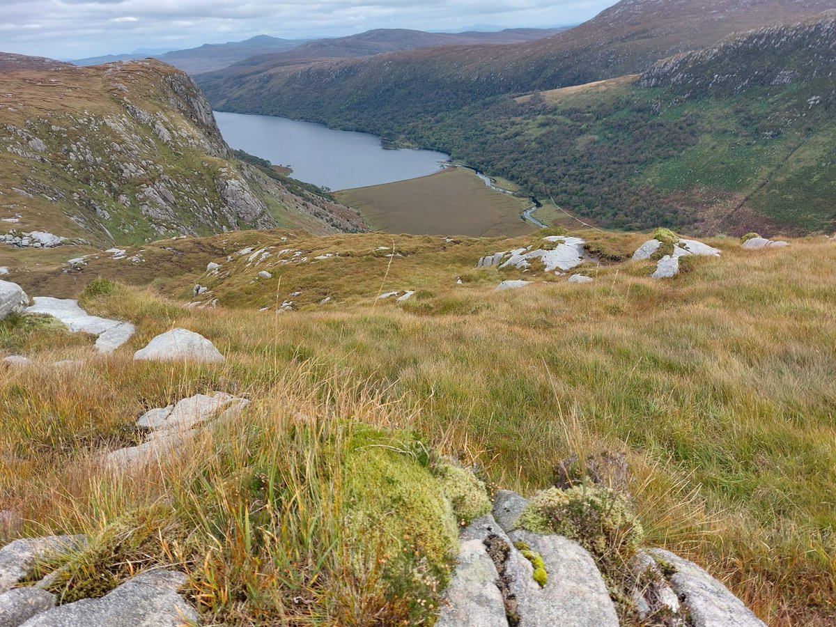 Jenni Roche (@jenni_roche) on Twitter photo An interesting #PhD opportunity on the ecological implications of alternative deer management strategies <a href="/UlsterUni/">Ulster University</a> <a href="/Glenveagh_NP/">Glenveagh National Park</a> ulster.ac.uk/doctoralcolleg… An interesting #PhD opportunity on the ecological implications of alternative deer management strategies <a href="/UlsterUni/">Ulster University</a> <a href="/Glenveagh_NP/">Glenveagh National Park</a> ulster.ac.uk/doctoralcolleg…