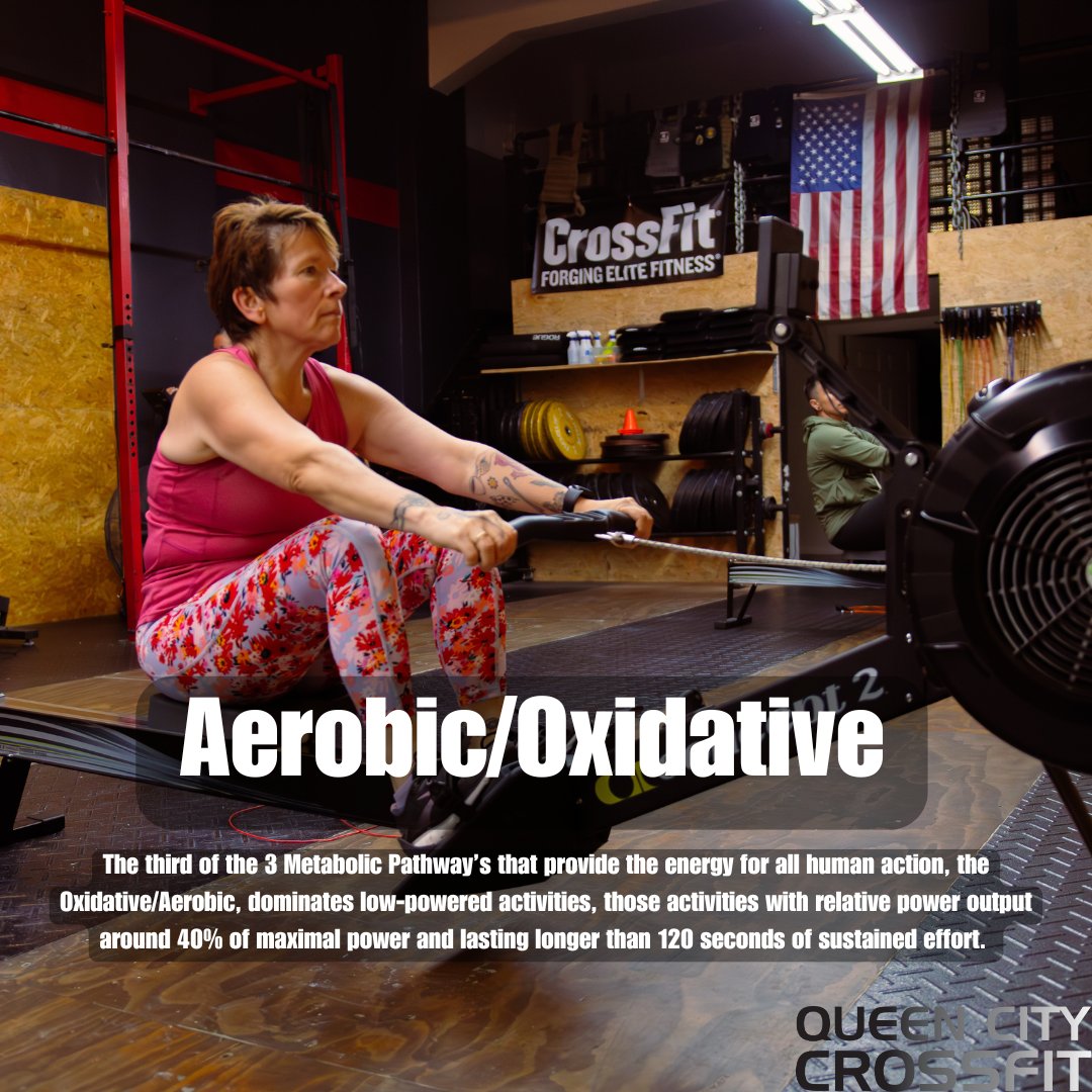 QueenCityCrossFit tweet media