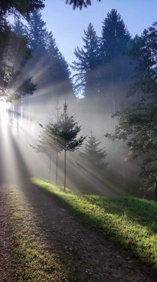 JonasAquin's tweet image. "This is a wonderful day I've never seen this one before." - Maya Angelou
Happy Tuesday, my friends.