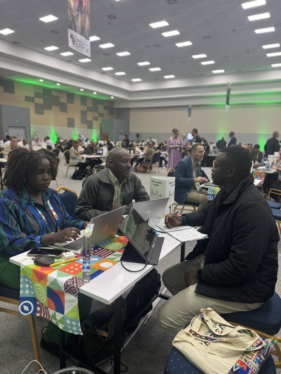 GoExplore Safaris - DMC tweet media