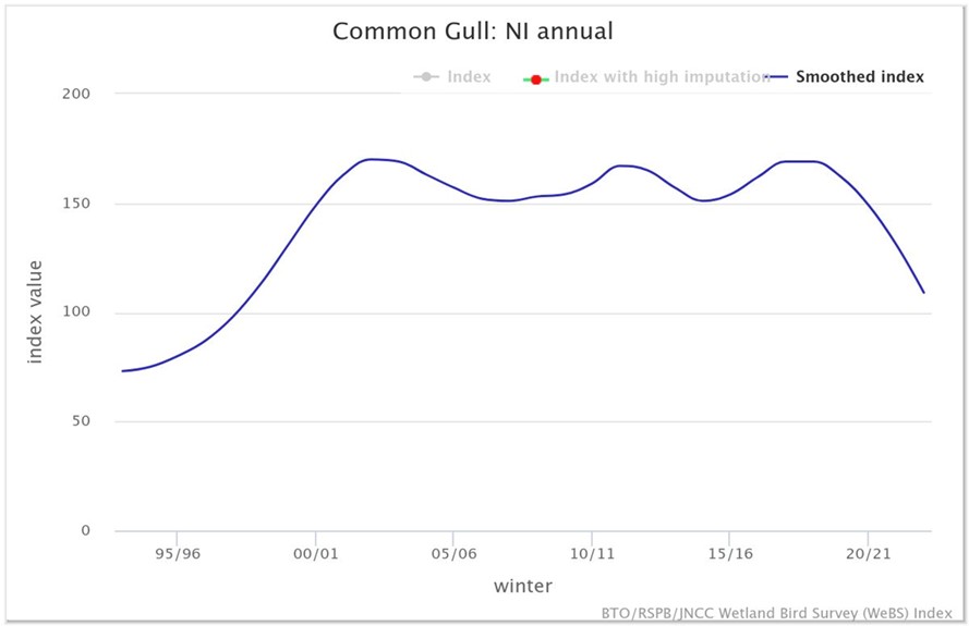 CEDaR (@cedar__ni) on Twitter photo December #speciesofthemonth: Common Gull❄️
Help <a href="/BTO_NIreland/">BTO Northern Ireland</a> by joining the Winter Gull Survey this January! Visit the BTO website (bto.org/our-science/pr…) for more info & the vacant sites map (app.bto.org/wings/public/v…) to see if there is a site needing covered near you💻📝 December #speciesofthemonth: Common Gull❄️
Help <a href="/BTO_NIreland/">BTO Northern Ireland</a> by joining the Winter Gull Survey this January! Visit the BTO website (bto.org/our-science/pr…) for more info & the vacant sites map (app.bto.org/wings/public/v…) to see if there is a site needing covered near you💻📝