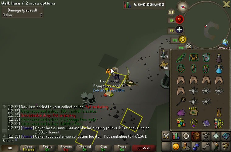Pet #11, Snakeling at 2331 kc!