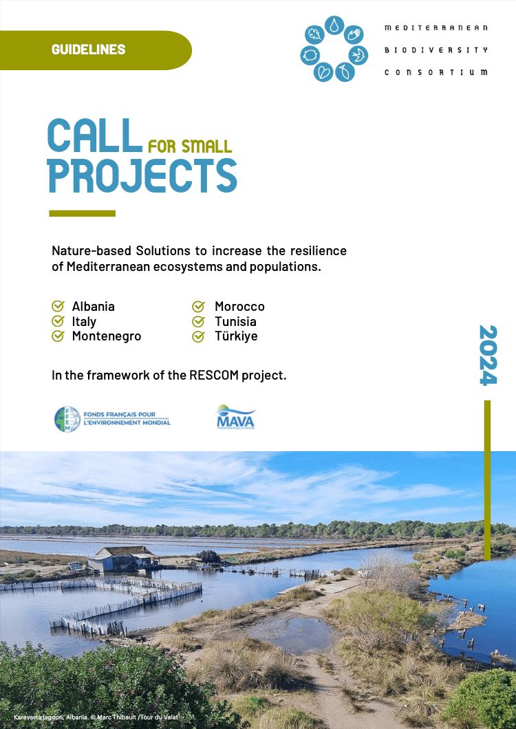 🚨Last call for proposals🚨 
For CSOs in Albania, Italy, Montenegro, Morocco, Tunisia, Türkiye 

Don’t miss the opportunity to protect #biodiversity &amp; improve well-being of local communities by implementing #NatureBasedSolutions! 
Deadline: 8 December 

➡️ bit.ly/3VhHsOc