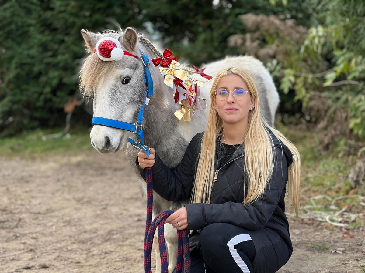 Bardzo rzadko, ale zdarza nam się brać nasze konie do fryzjera. 📷Ola, którą tu widzicie, jest z nami już prawie 18 lat. Jak już Wam kiedyś o niej wspominałam w innej sesji zdjęciowej, Ola dołączyła do nas, kiedy jeszcze byliśmy w ośrodku w Wojnowie, pod Zieloną Górą. Była wtedy