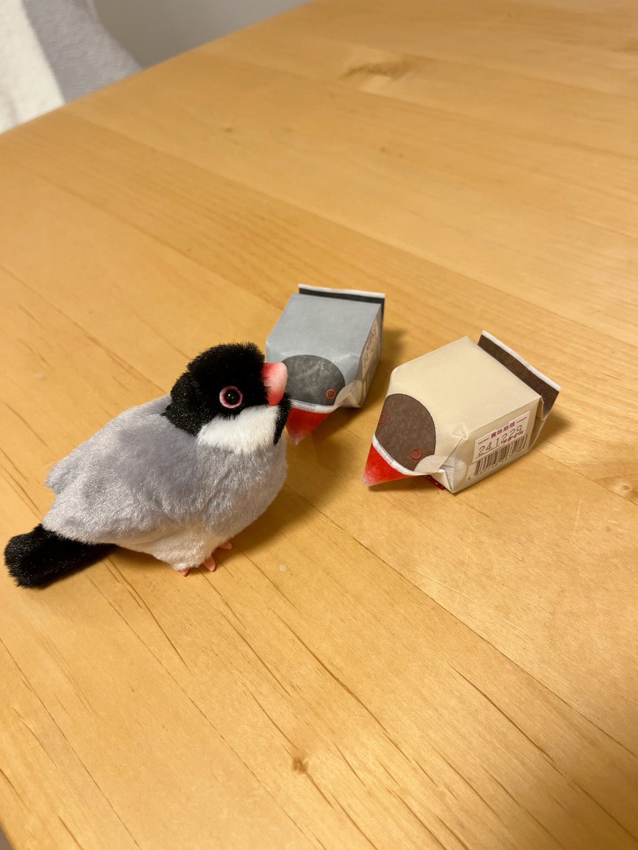 我が家にも文鳥のお菓子きた！
嬉しい！！☺️☺️☺️☺️☺️