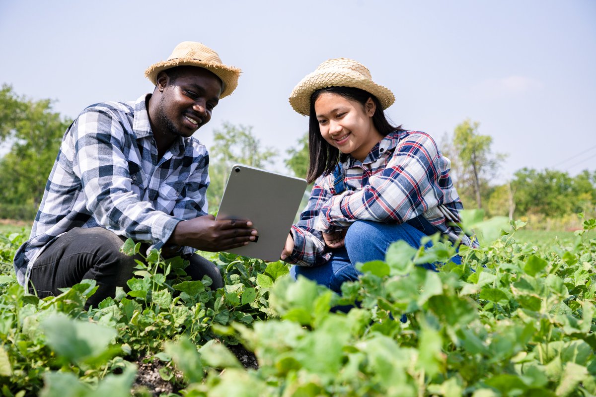 The Digital Agri Hub (@d4ag_) on Twitter photo ✨ How do you create meaningful connections in digital spaces?
Dive into <a href="/iapad/">Giacomo Rambaldi</a>'s journey with the <a href="/D4Ag_/">The Digital Agri Hub</a> dgroups community as he shares actionable tips for fostering inclusivity, engagement, and innovation in this insightful interview.
📖 Full interview: dgroups.info/2024/11/d4ag-d… ✨ How do you create meaningful connections in digital spaces?
Dive into <a href="/iapad/">Giacomo Rambaldi</a>'s journey with the <a href="/D4Ag_/">The Digital Agri Hub</a> dgroups community as he shares actionable tips for fostering inclusivity, engagement, and innovation in this insightful interview.
📖 Full interview: dgroups.info/2024/11/d4ag-d…