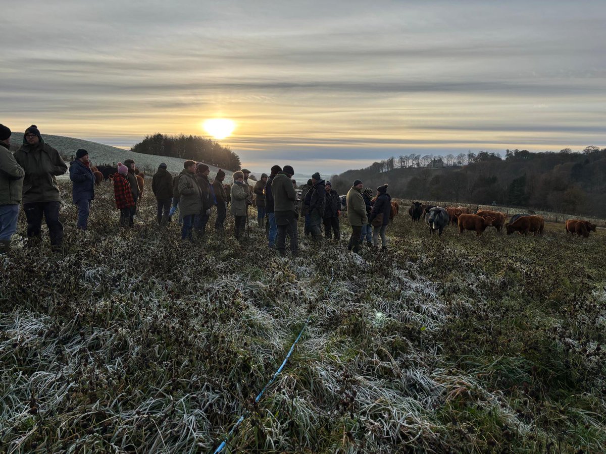 PastureForLife's tweet photo. Last week, PfL farmers came together for an incredible Study Tour in Northumberland &amp; the Scottish Borders, visiting three thought-provoking farms which left everyone with a real optimism.

Highlights: ✅ West Wharmley Farm with Stuart Johnson, Soil Farmer of the Year 2023..1/3 https://t.co/c2NOIvmFdS