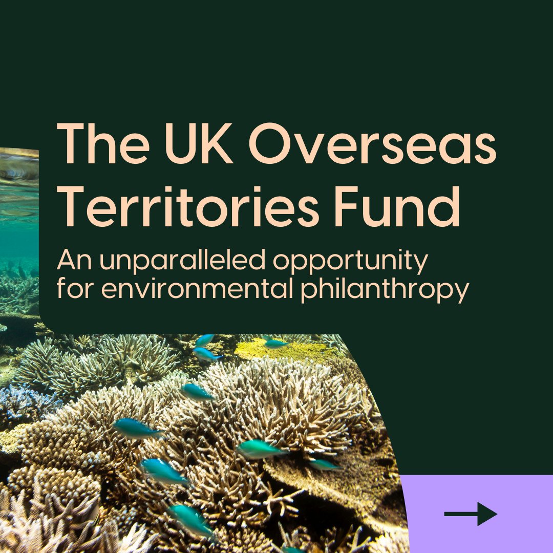 Our new report is live!

🪸The UK Overseas Territories Fund: An unparalleled opportunity for environmental philanthropy 🪸

We explore <a href="/EllermanUK/">John Ellerman Foundation</a>'s UKOTs fund and why funders should get involved.

greenfunders.org/resources/the-…