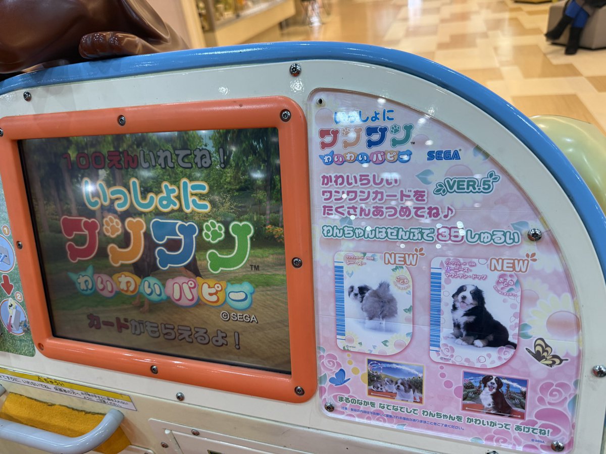 なんか、妹とめっちゃ遊んだ記憶のある 乗り物を現地で見つけてしまい