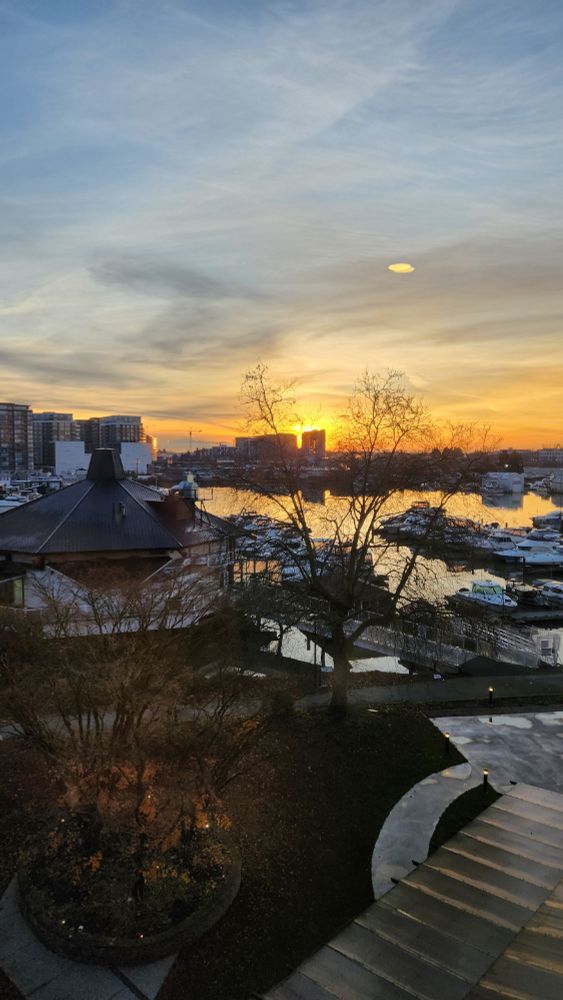 Mashdor 🍁| @mashdor.bsky.social tweet media