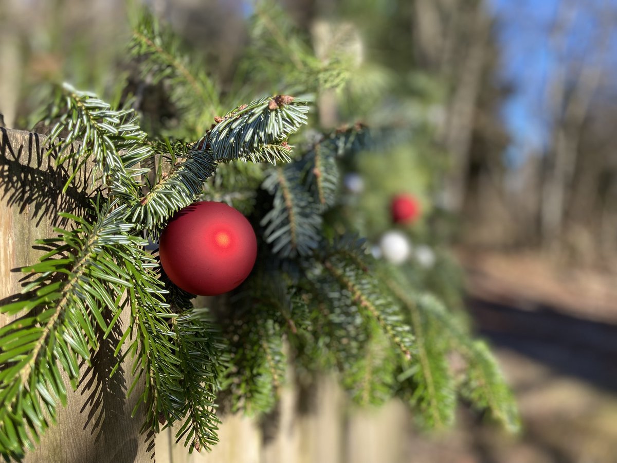 johnstontony's tweet photo. Decked the gates #ItsBeginning #Weinachten #Nöel #Natale
#Switzerland #Suisse #Svizra #Svizzera #Schweiz🎄🧑🏽‍🎄🎅🏽 https://t.co/UJWC6g8gpN