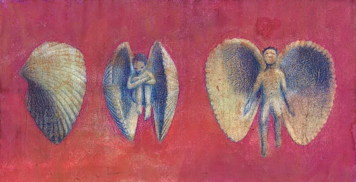 migue11to's tweet image. 🐚 🪽