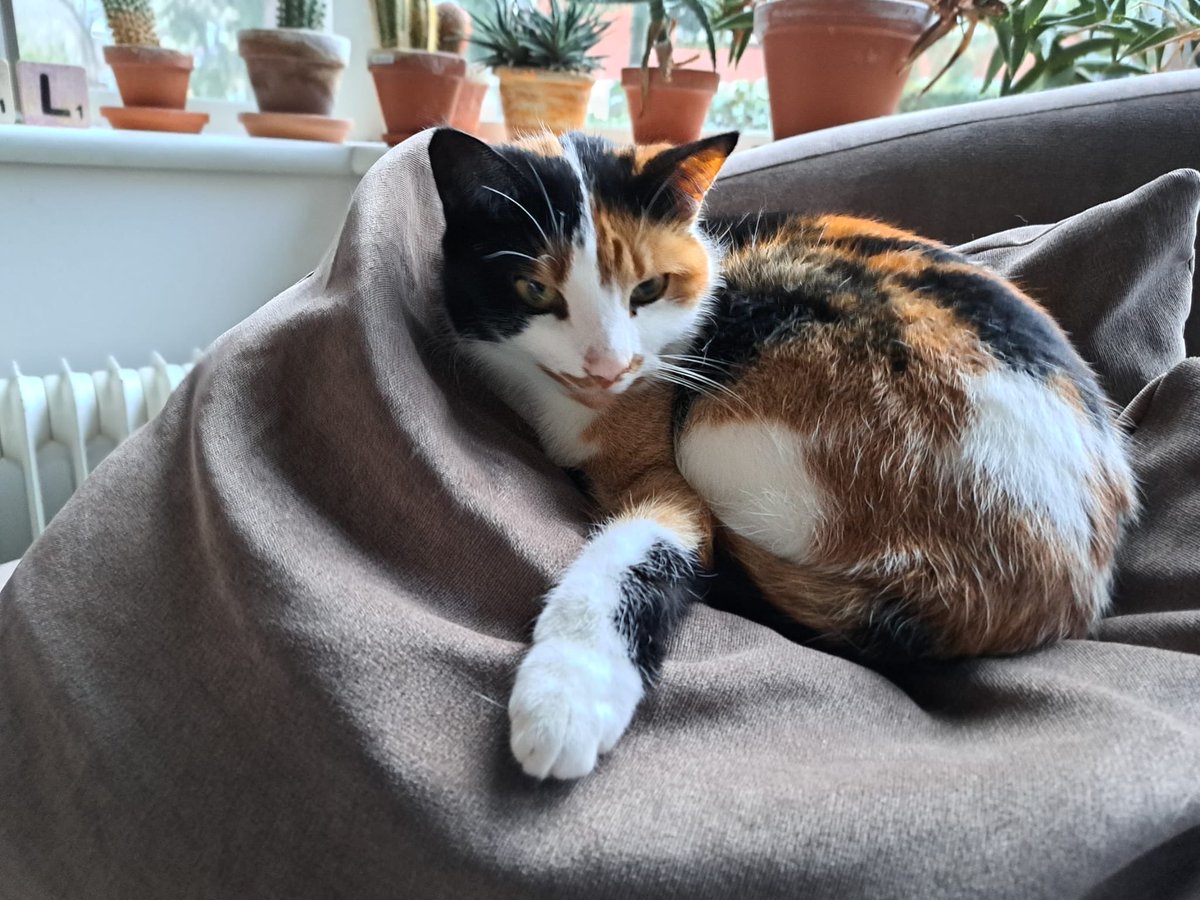 Mooie foto van mijn zusje