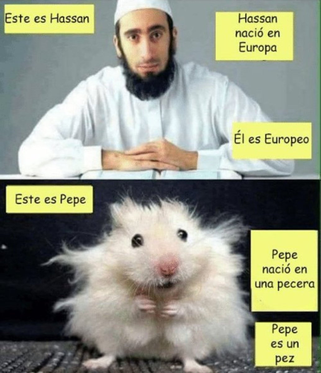 MiMar19872003's tweet photo. @arturovilla @GruaReal https://t.co/HjPYtPXX3Z