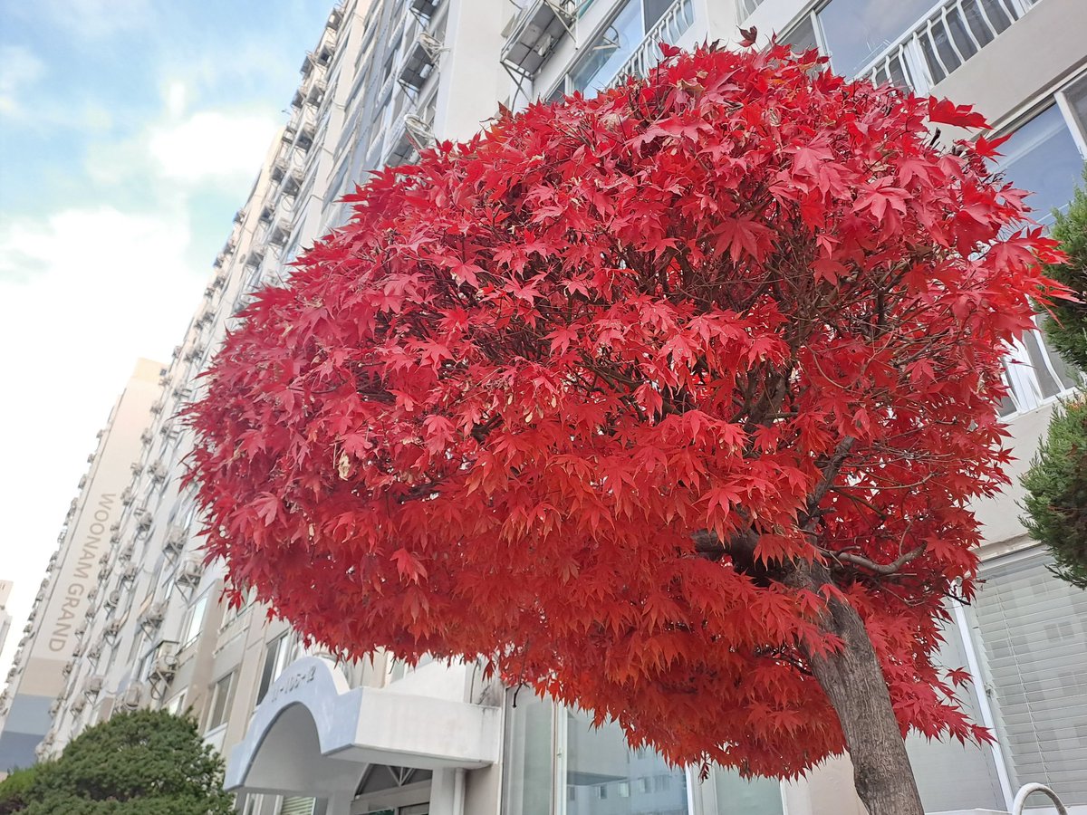 자고 일어났더니 계엄이라네.
참 웃기는 세상이네.
ㅋㅋㅋㅋㅋㅋㅋㅋㅋㅋ