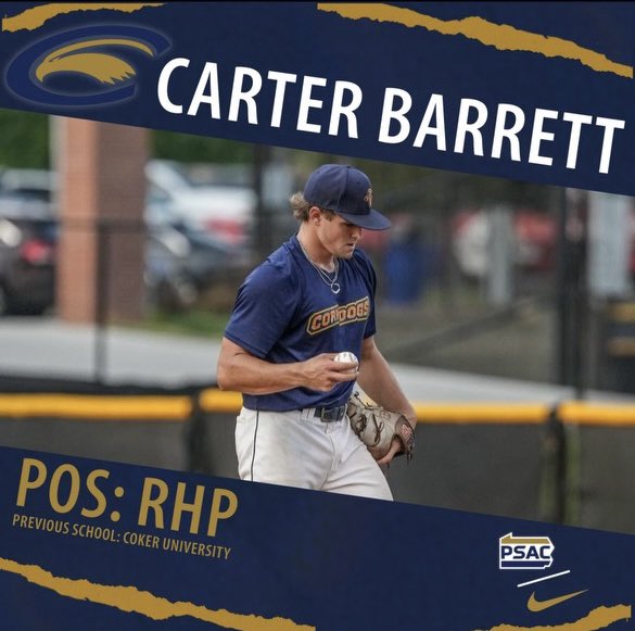 Clarion Baseball tweet media