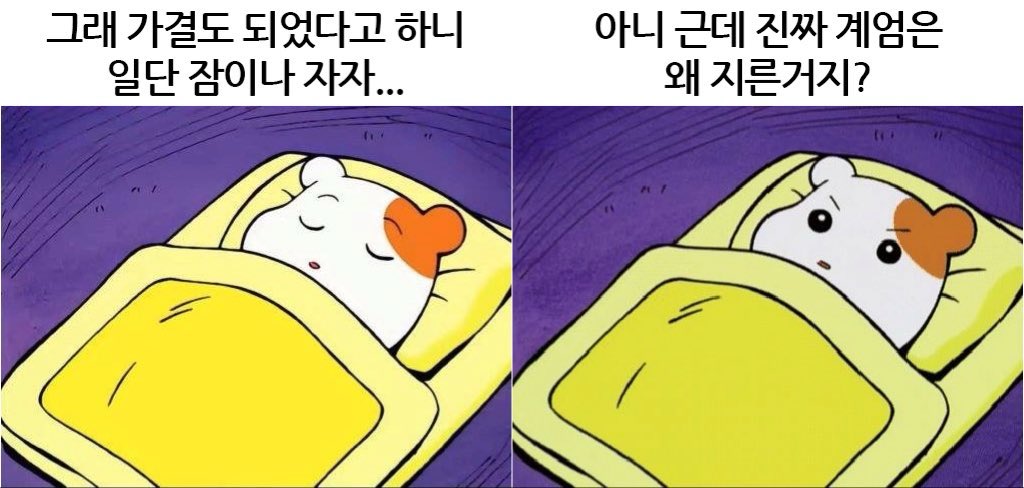 shylee2021's tweet photo. 12월 4일 새벽 1시 35분 대한민국 현 상황 https://t.co/ZHdlRifqAG