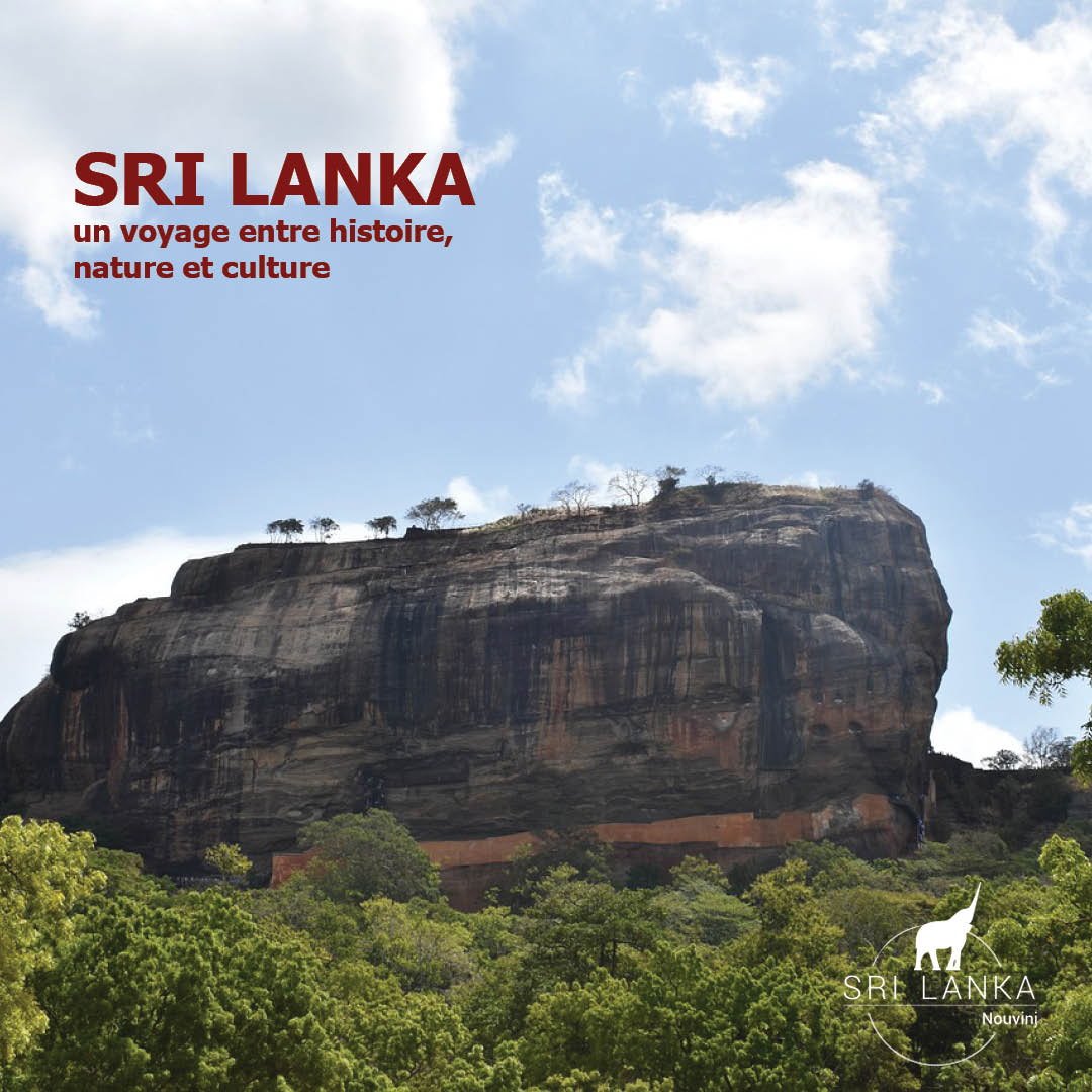 Temples anciens 🛕, plages idylliques 🏖️ et thé luxuriant 🌱.
📸 Découvrez nos circuits sur-mesure 👉 sri-lanka.nouvini.com

#SriLanka #VoyageAuthentique #OcéanIndien