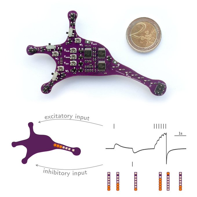 For more details see our repo github.com/giant-axon/lu.… and the preprint our researchers from <a href="/unibern/">Universität Bern</a> and <a href="/BrainScaleS/">Electronic Vision(s) - in memoriam Karlheinz Meier</a> published arxiv.org/abs/2404.16664