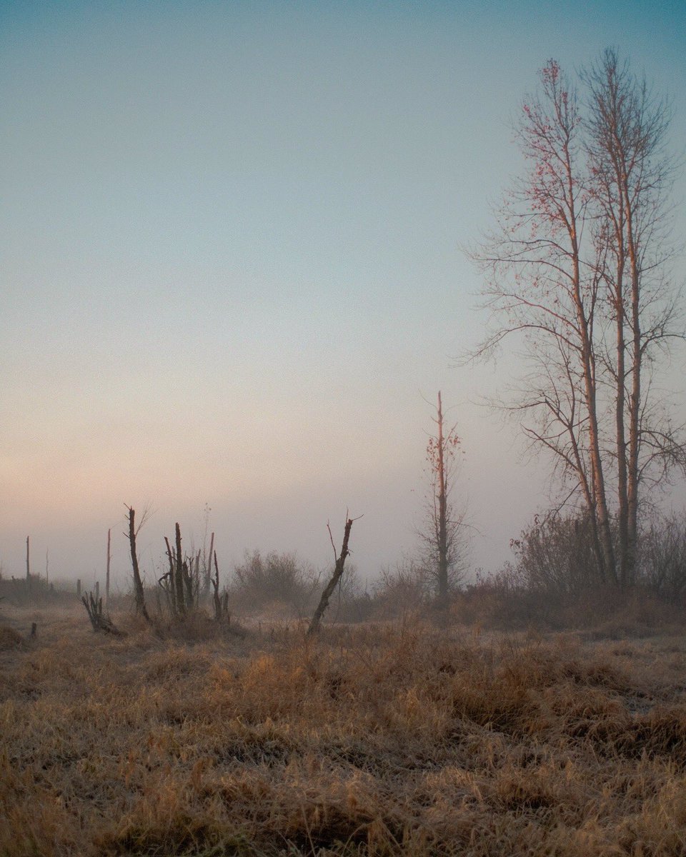 I’m not here for a long time