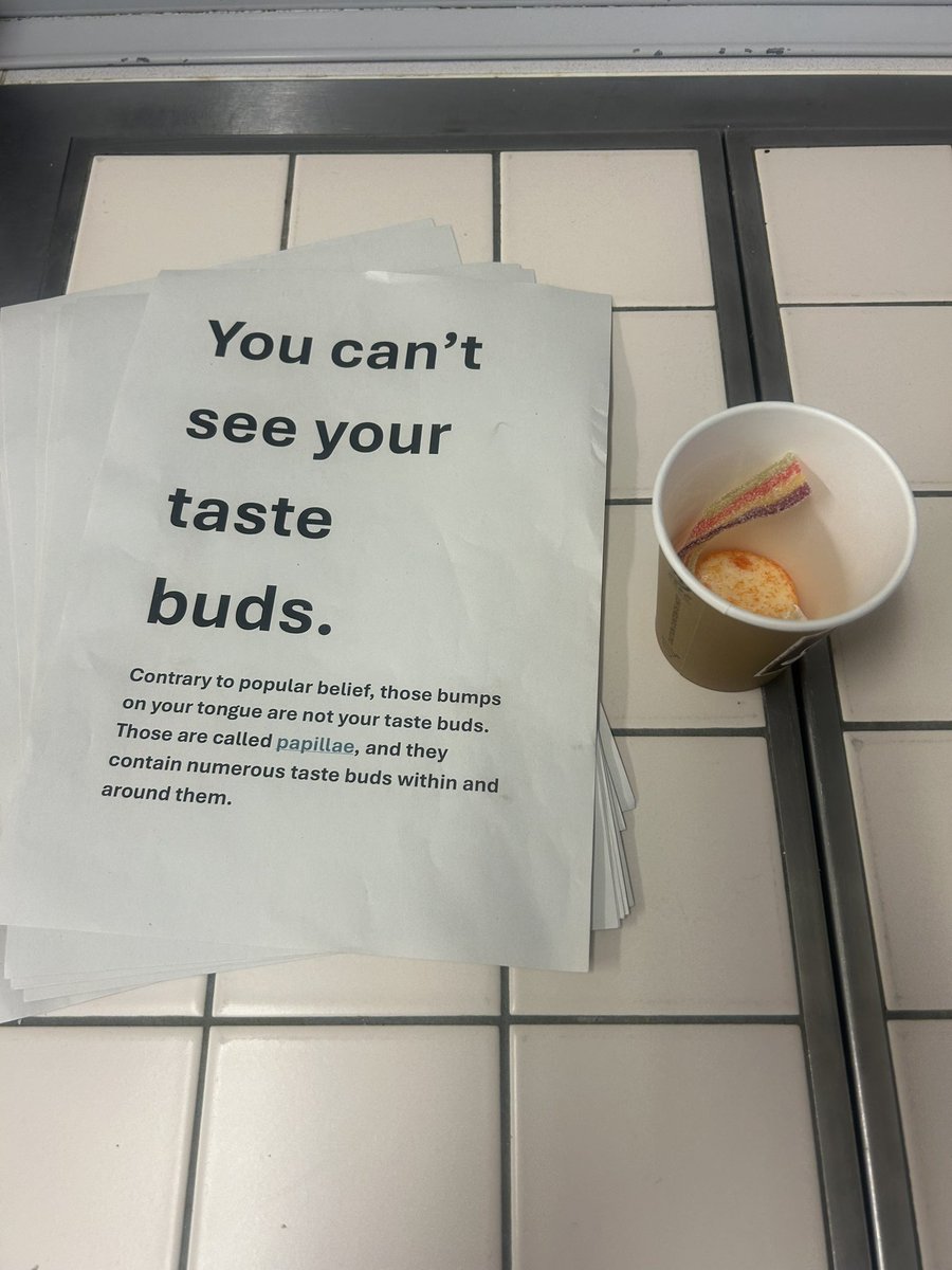 Amylowry💙 tweet media