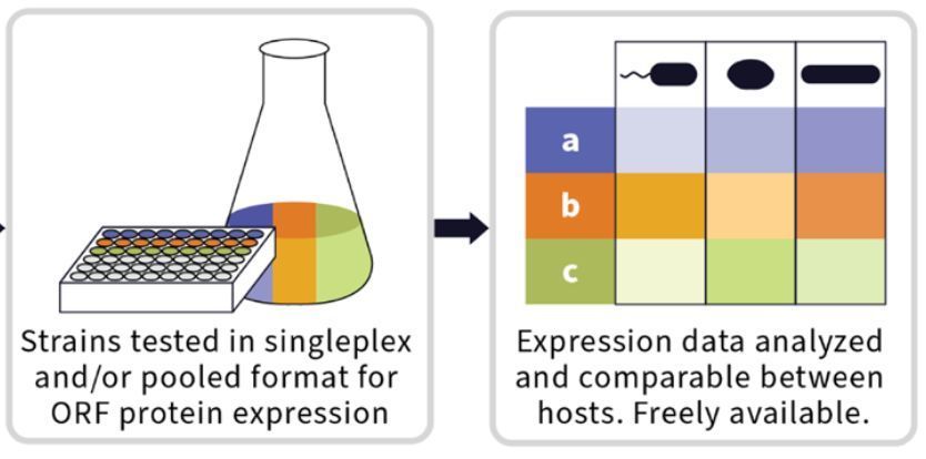 Align_Bio's tweet photo. 🚀 News from Align! Today, we're sharing our proposal for building a predictive model of protein expression. Check it out here! ➡️ https://t.co/YcymfR1wgm ⬅️
🌍✨#ProteinExpression #Bioengineering #Collaboration #MachineLearning #DataScience #AlignToInnovate https://t.co/gaVAwQ9P1e