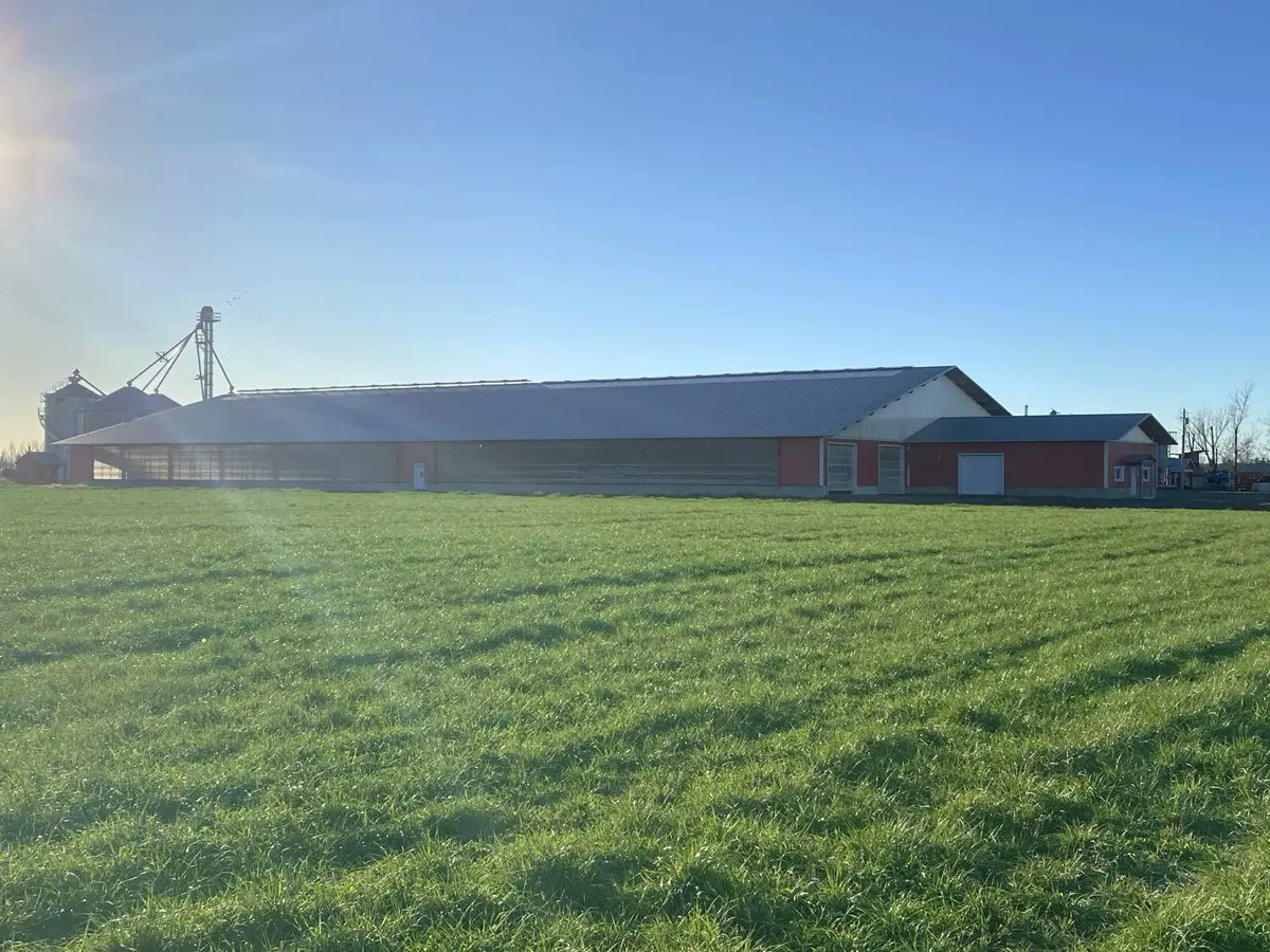 Il ne reste que 2 jours pour vous inscrire! Venez passer un moment avec nous chez Terryland Farms! L’entrée est gratuite pour tous, nous avons hâte de voir les nouveautés de la ferme! Réservez votre place dès maintenant : forms.office.com/r/AEr1VcmsJR