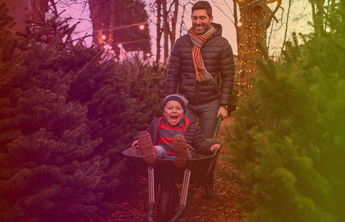 directoil's tweet photo. With Christmas looming there’s lots to think about. We’ve made it super easy for you to top up your heating oil so it’s one thing off your mind.

Beat the winter rush. Get an instant quote today. https://t.co/X5dpi48ljA https://t.co/BVSGJ4OJvh