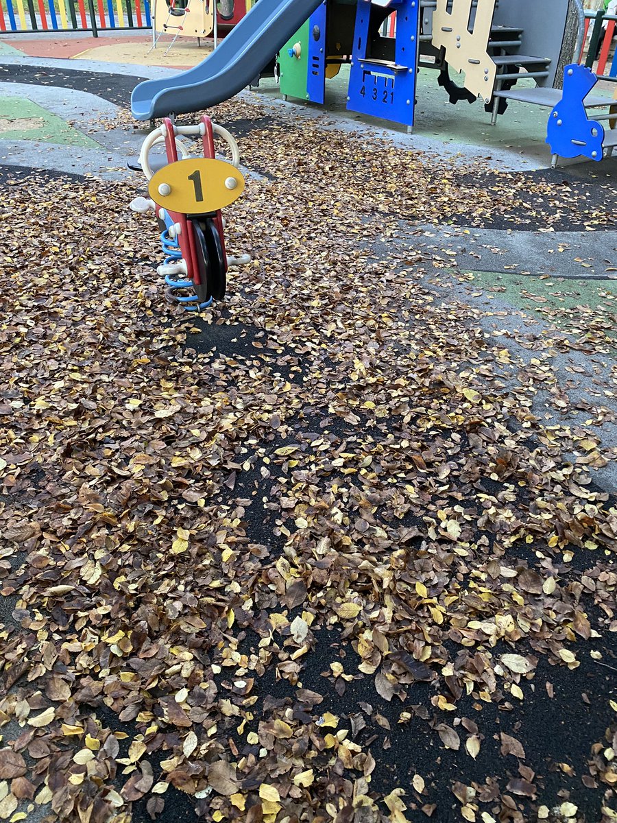 JulinhoCRuiz10's tweet photo. Una semana después seguimos así en el parque Gasset, vergonzoso, @wikiCR nos echáis una mano? Ya que aquí nadie hace limpia nada https://t.co/eJeCXW8jRd