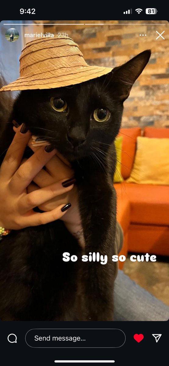 ハ°コ。ロハス tweet media