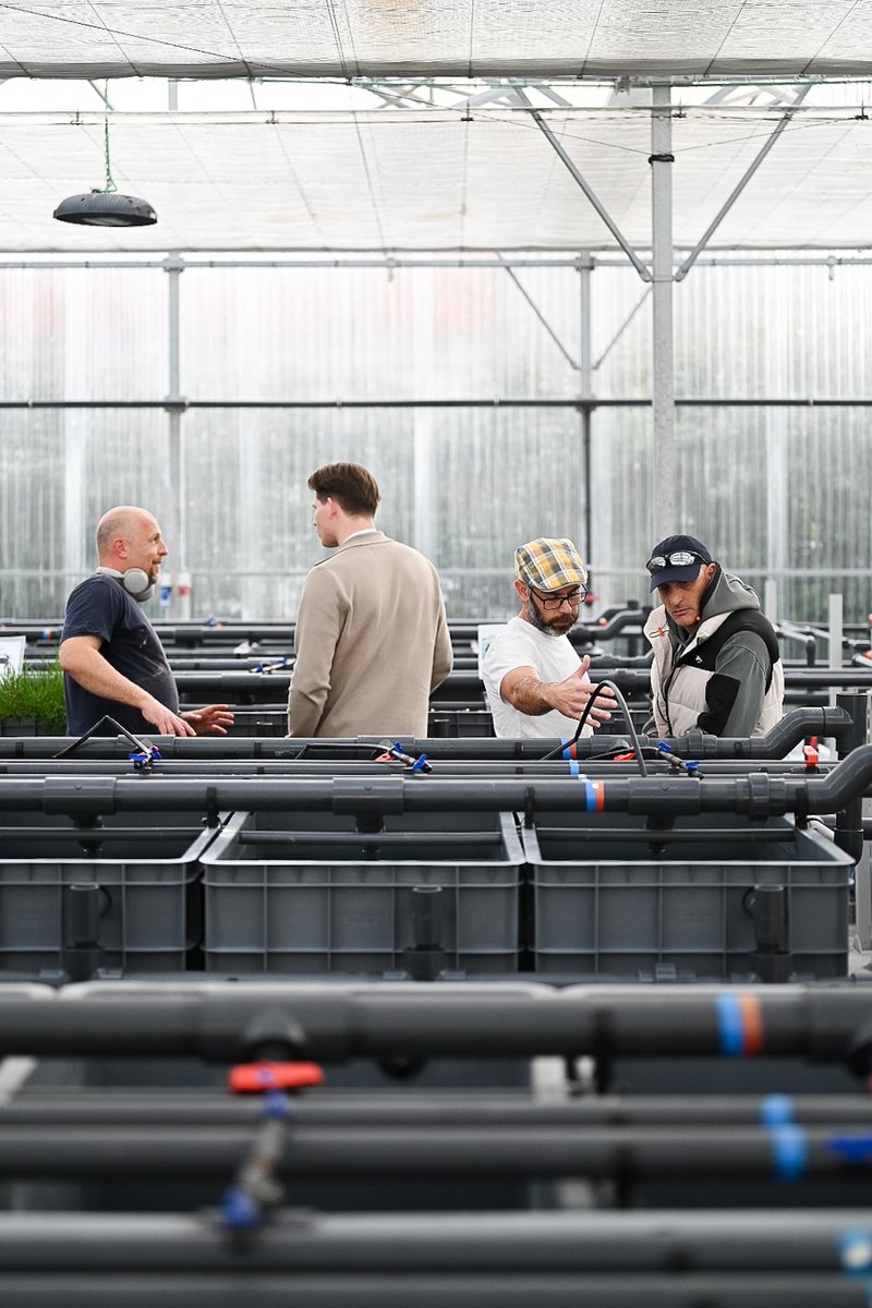 BlueBioValue tweet media