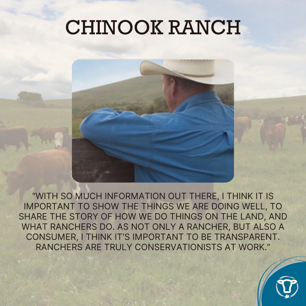 CRSB_beef's tweet photo. Meet some of our CRSB Certified farmers and ranchers! Read more here: https://t.co/5D6732P5Hh
#SustainableCdnAg #CarbonFootprint #cdncattle #Sustainability #GHG #CarbonSequestration #2030goals #FarmerFriday #loveCDNbeef https://t.co/tJN2UmJHp2