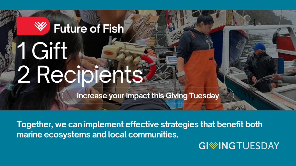 This #GivingTuesday, for each donation made, 50% of your gift will support Future of Fish’s work empowering thriving, resilient #OceanCommunities and 50% will go directly to one of our local partner organizations in #Peru or #Chile.

futureoffish.org/50-50

#50forFish #DonateNow