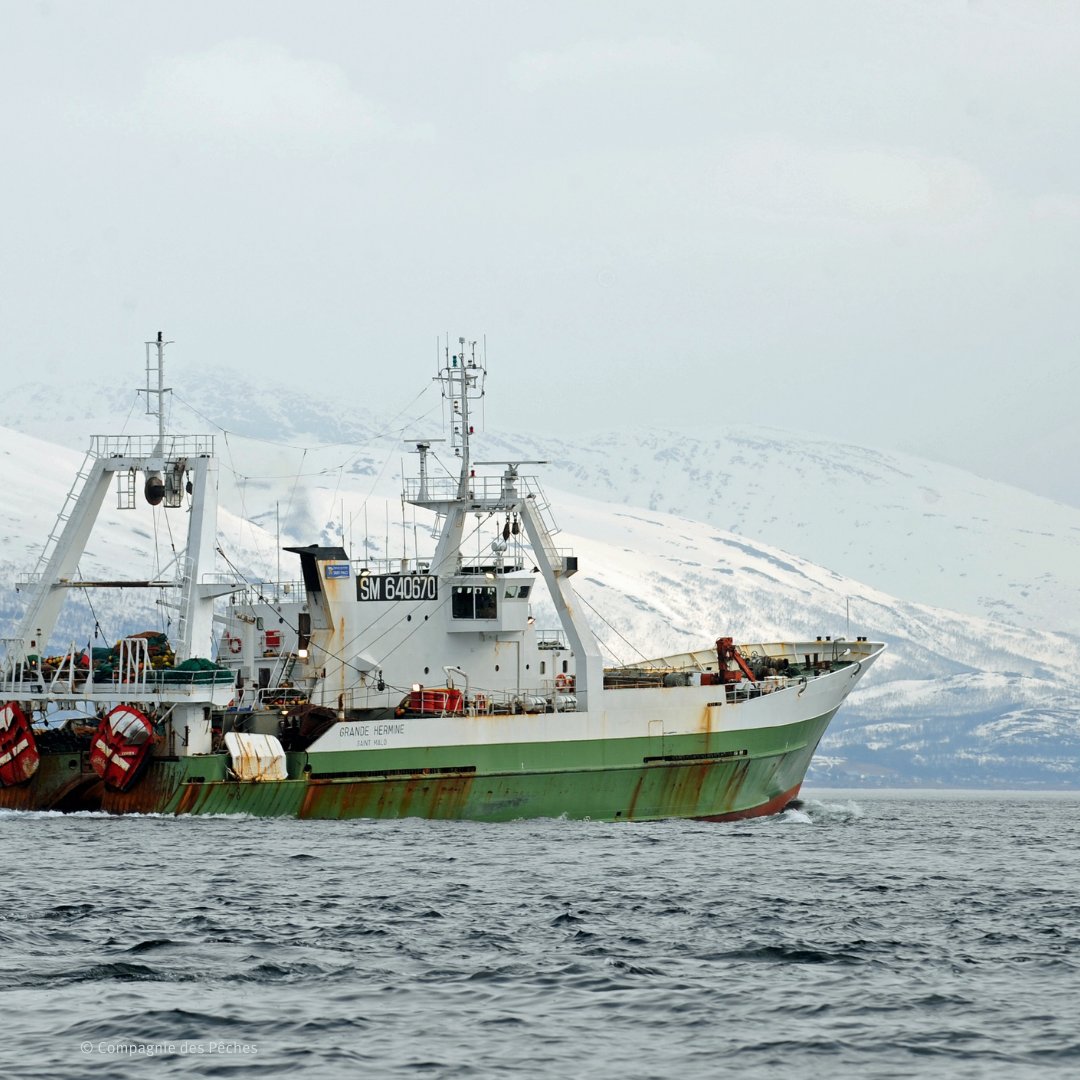 La mission du MSC est d’inciter le plus grand nombre d’acteurs de la filière des produits de la mer à adopter des pratiques durables au niveau mondial afin de préserver durablement l’approvisionnement en produits de la mer durables.