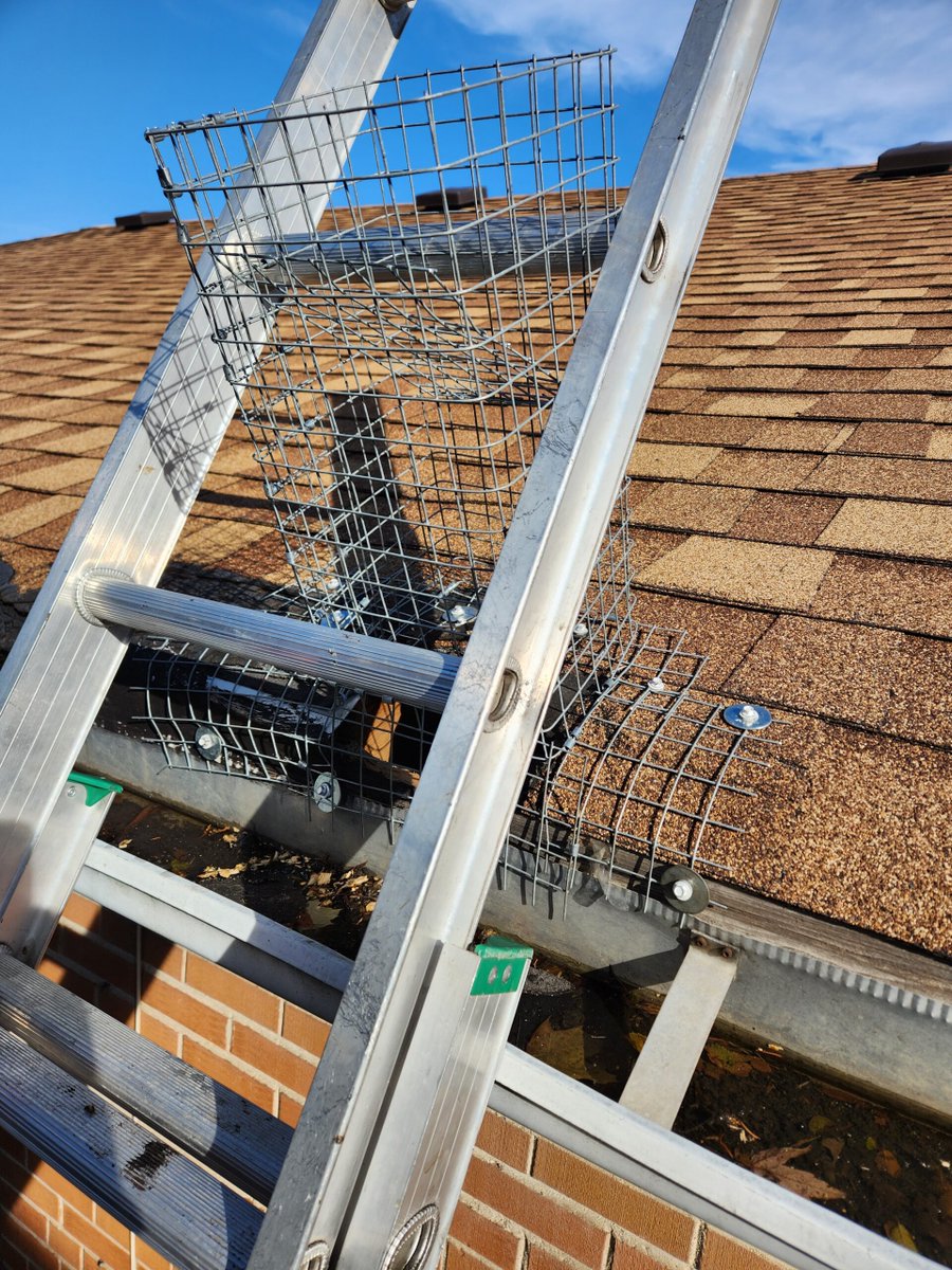 rightroofer's tweet photo. Toronto homeowners: Trust Right Choice Roofing for all your roofing needs! Serving Midtown since 2007, we're experts in repair, replacement &amp; maintenance. Leaks, wildlife damage, or slate roofs - we do it all! 🏠🛠️

#TorontoRoofer #RoofRepair #TorontoRoofingCompany #TorontoRoof https://t.co/jlComPsKjm