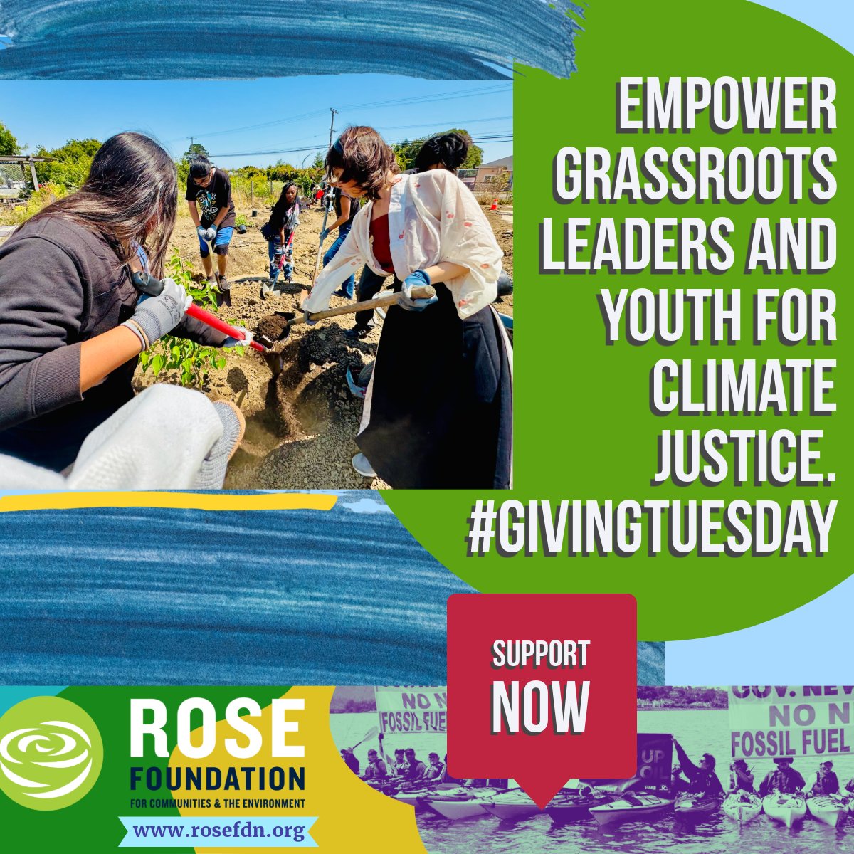 Rose Foundation tweet media