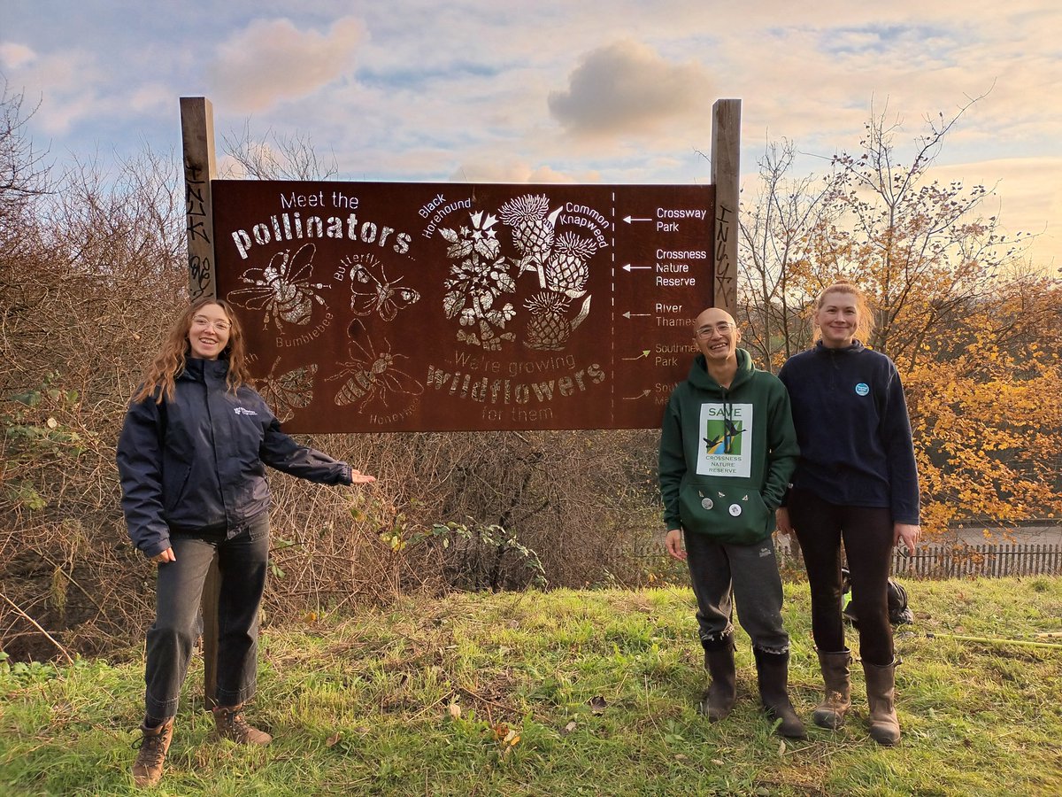 BuzzingSouthEast tweet media