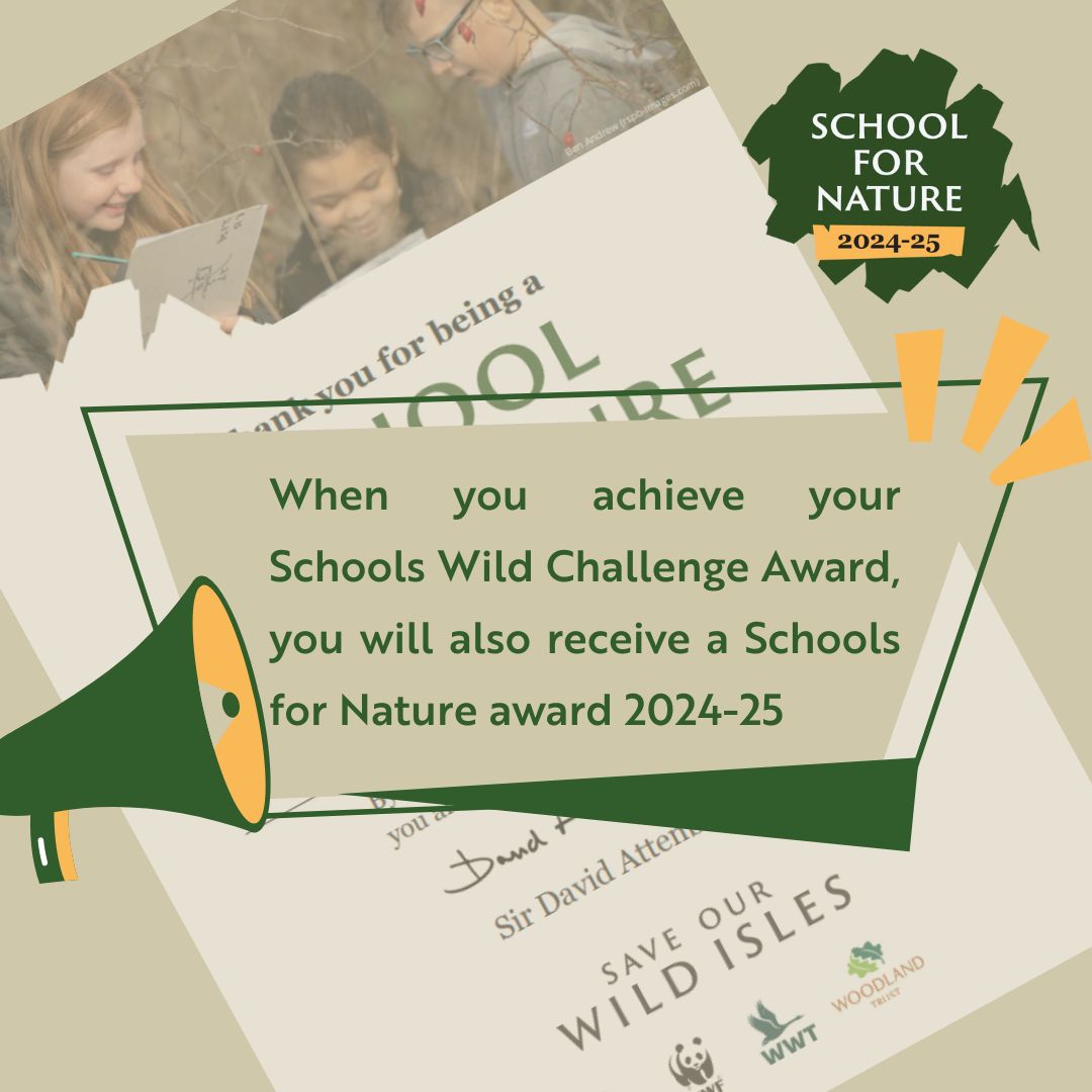 RSPB_Learning's tweet image. If you're working hard to achieve your Wild Challenge Awards this year with your pupils, you will also achieve your Schools for Nature certificate signed by Sir David Attenborough. wildchallenge.rspb.org.uk
#RSPBwildchallenge #learningthroughnature