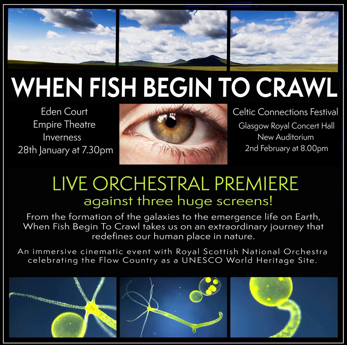 Glasgow Film Festival tweet media