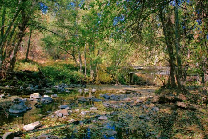CalWildSide's tweet photo. Photo is by R.A. Scott Photography
"Autumn In On The North Fork Of The Merced River"
Mariposa County, California.
November 7, 2024
#autumn #autumncolors #californiafall #californiaautumn#goldcountry
#MariposaCounty #stanislausnationalforest https://t.co/WK7TNVDFAg