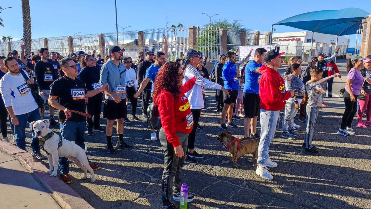 On November 12th, with the support of IMDECUF, the Bosch Family Run-Walk 2024 brought together employees, their families, and even some furry companions for a fun and active morning. 🏃‍♂️🐾 #PIMSAFamily