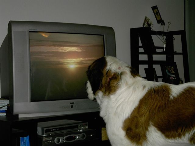 bintcrubbs's tweet image. 