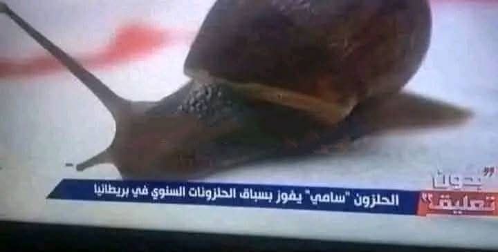 abogehad87's tweet photo. #ترفيهي
الأبطال حررو حلب و صارو عمداخل مدينة #حماة وقناة الدنيا التابحة للنظام المجرم عمتحتفل بفوز الحلزون البطل سامي 😂😂 https://t.co/r2skUO22CA
