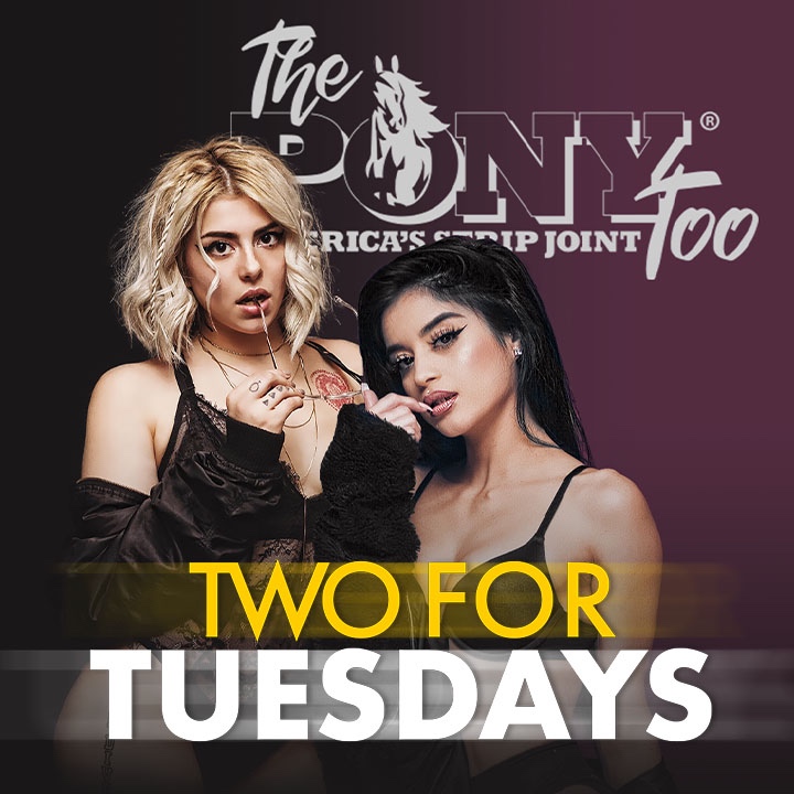 ThePonyPlatinum's tweet image. Come to The Pony Too  on Tuesdays and get two dances for the price of one - only $40! 🤩 🤩 We want you to make Tuesday your new favorite day of the week! 💃🏼
.
.
.
#twofortuesdays #twodancesfor40 #ponytoosday #PonyToo #MadisonAL